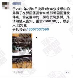 网友爆料免费网站视频,网友爆料揭示行业真相  第1张